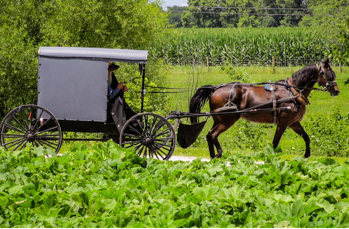 carriage